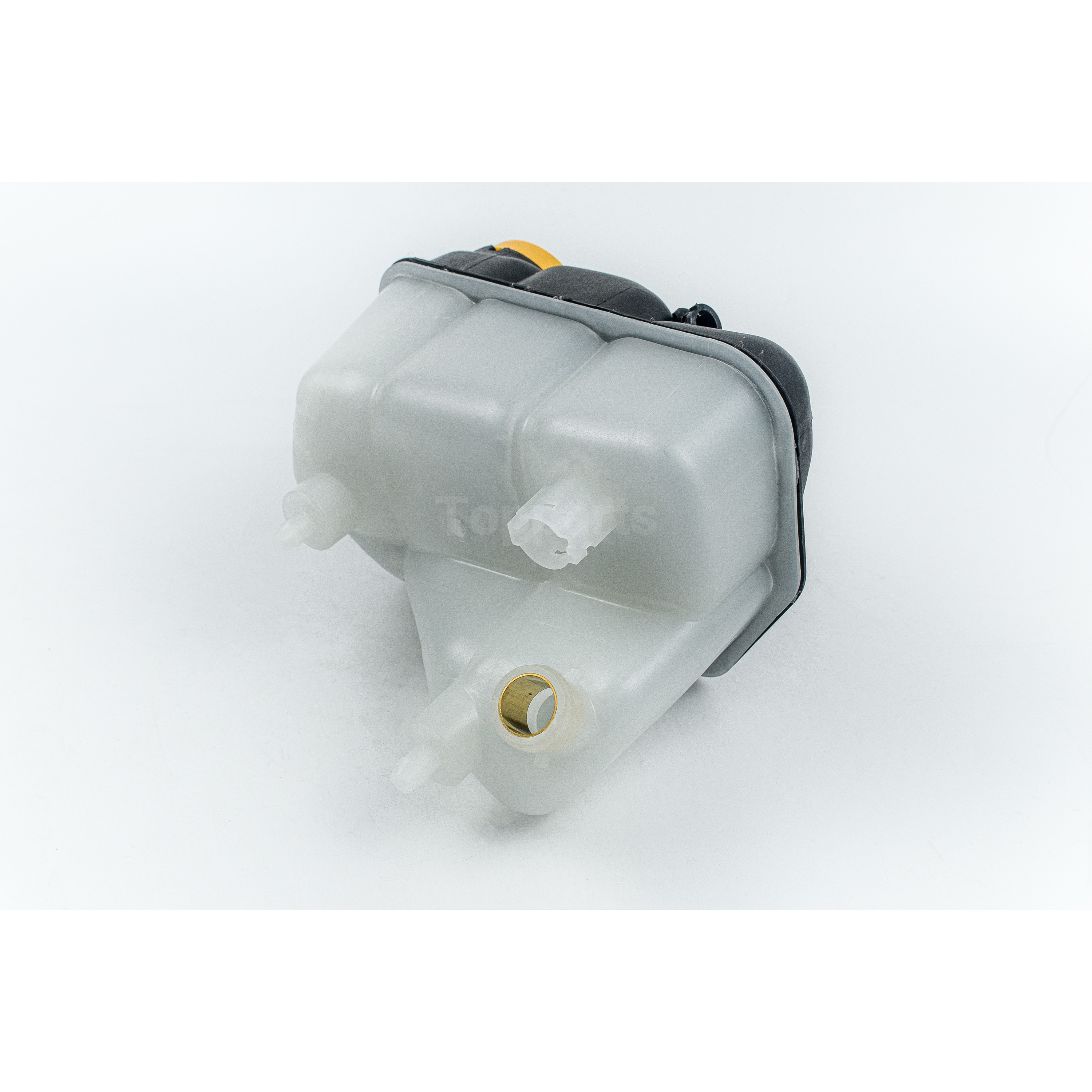 Mercedes-Benz CLS W211 EUROTECH Coolant Expansion Tank [A 211 500 00 49 ...